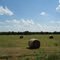 round bales 2