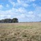 SE corner of CS ranch looking West