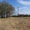 CS Ranch, looking east across Oak tree grove