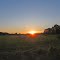 A field at sunset