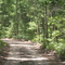 back on the trails, quail trail