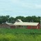 Farm near 438th