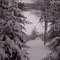 Winter Wonderland
