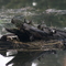 Old Log