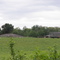 An Upper Michigan Field