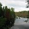 Pond Along The North East State Trail, Onaway