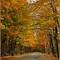 Fall colors