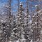 IMG_2011_02_11 - 0615-Edit