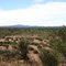 On the Tanami road