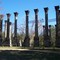 Ruins Of Windsor Plantation