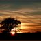 Sunset on Natchez Trace, Mississippi