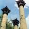 Windsor plantation ruins, near Alcorn Mississippi (8-2000)