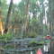 Mel in Middle Ground swamp