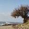 Aldinga Beach
