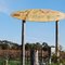 Far above the water line: "Blown Away" surfboard sign on vineyards