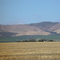 Stubble, Aldinga South  Australia