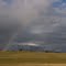 Near Adaminaby