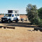 Camp at Arckaringa Homestead