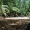 Adel's Grove Campsite