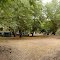 Adels Grove campground