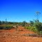 Outback Flats North of Riversleigh