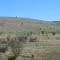 Bare Landscape North of Riversleigh