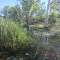 Louie Creek Crossing