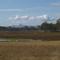 wetlands near Willowbank
