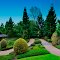 Winding Path of Nerima Gardens
