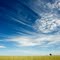 Town Common, Aramac QLD
