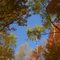 Fall Colors along Pere Marquette Rail Trail