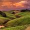 Rolling Green Hills Apollo Bay