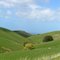 spring hills on busty road, apollo bay, great ocean road