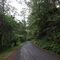 0303 Great Otway NP, road to Marriner Falls