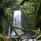 Dannys Mariners Falls