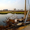 post Katrina- Bayou Chicot