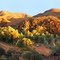 Sunrise Arkaroola Spring