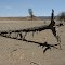 Dry landscape - Gammon Ranges National Park