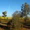 Hinfahrt nach Mildura