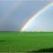 Rainbow near Ardrossan  SA