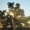 Warialda  Sunrise