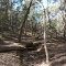 Dry creek bed, Mundoonen Nature Reserve