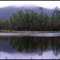 Hasties Swamp National Park