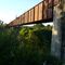 Old Railway Bridge over the Barron River