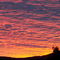 Sunset over Atherton