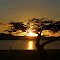 Last light....magnificent!