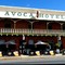 Avoca Hotel - Avoca