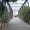 Old Foot Bridge, Elmore