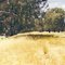 Campaspe Rv: Englishs Rd Reserve