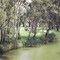 Campaspe Rv: Barnadown Reserve